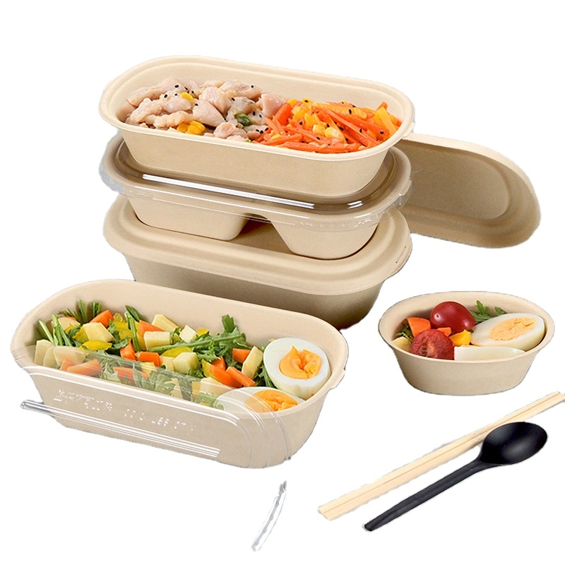 Disposable Pulp Food Containers Take Away Lunch Box Sugarcane Bagasse Biodegradable