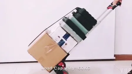 Carretto pieghevole in alluminio (HT060A-1)